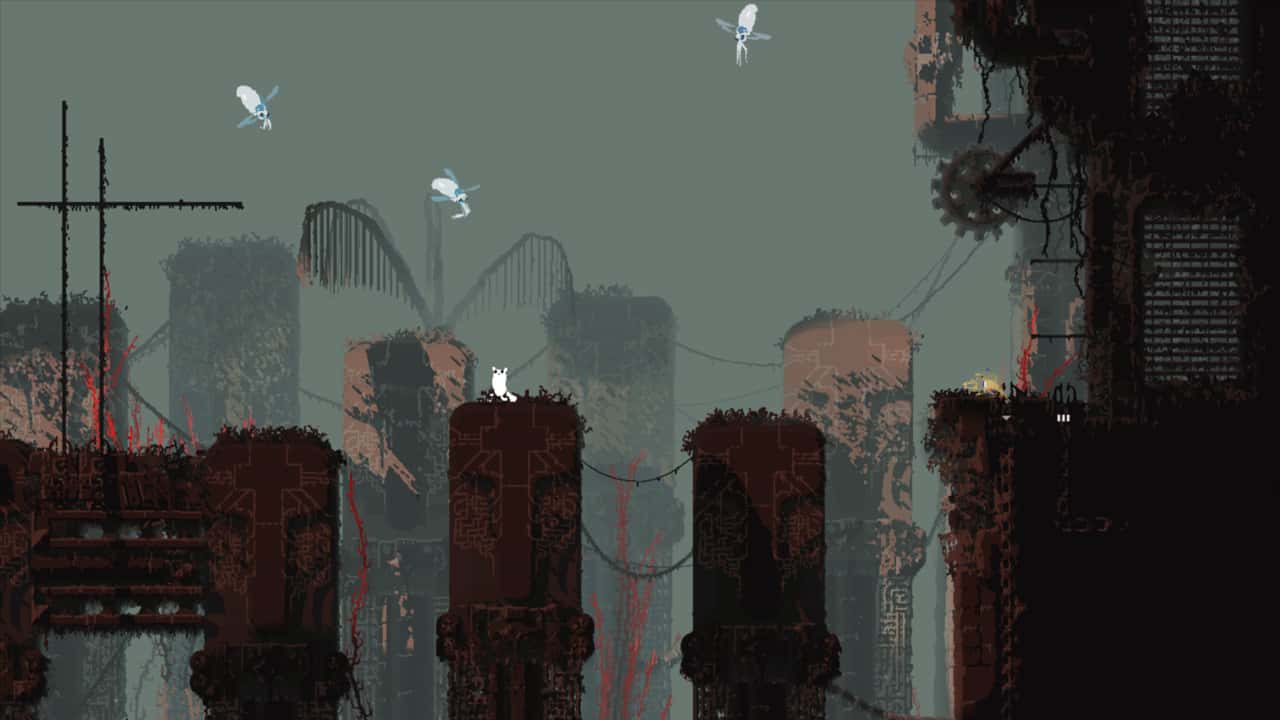 视觉数据5